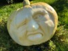 PUMPKIN HOUSE