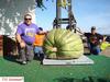 Squash at Borchard Farms