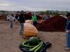 Long Gourds and Big Pumpkins