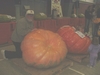 633# Mark McWilliams pumpkin