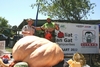 Goliat van Gat Pumpkin competition