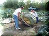 Loading the Squash #9