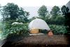 Pumpkin Set in Wyckoff's Patch