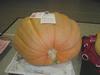 13th Place, Bob Ruff's 731# Pumpkin