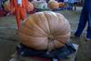 2002 Topsfield Fair - #40 - 619.6 lbs by Joe Goetze