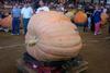 2002 Topsfield Fair - #9 - 874.0 lbs by Jim Beauchemin