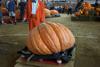 2002 Topsfield Fair - #54 - 531.0 lbs by Jess R. Smith