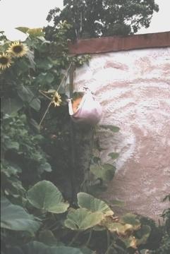 Hangin Pumpkin 6 feet off the ground