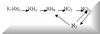 nitrification/denitrification cycle and ammonification