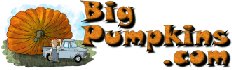 BigPumpkins.com