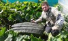 Dorset Farmers - MarkB