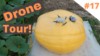 Moby Mike Pumpkins
