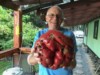 Zeke DeMars Tomato Team Challenge